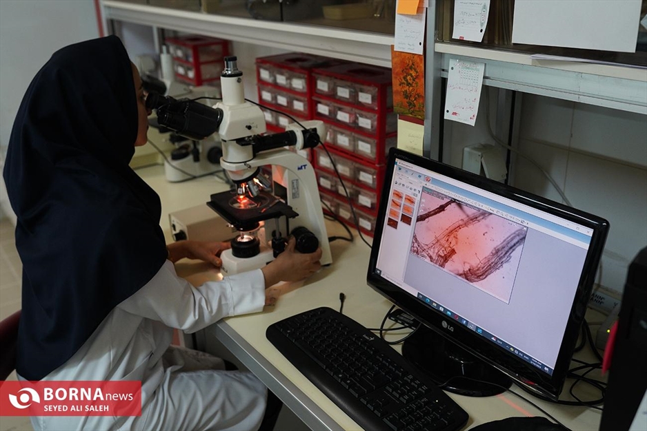 موزه ملک تهران