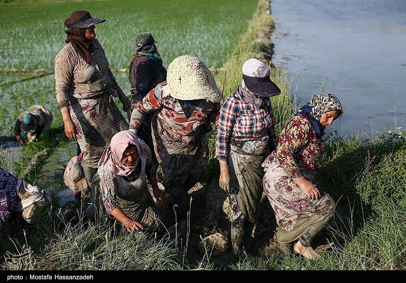 روز جهانی کار و کارگر