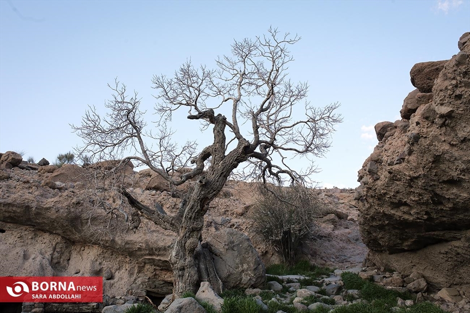 روستای میمند کرمان