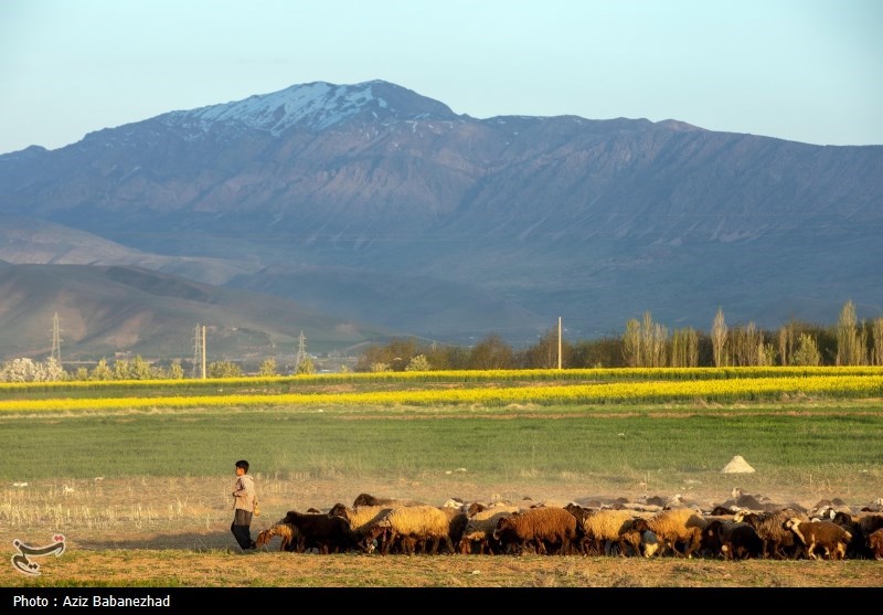 کوچ ییلاقی عشایر