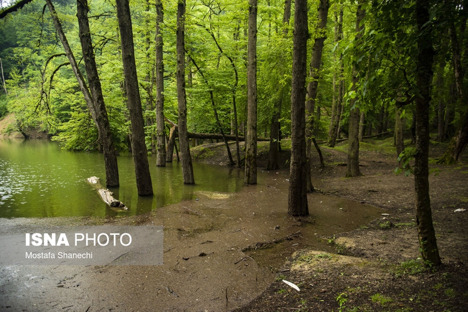 طبیعت بهاری دریاچه میانشه ساری - استان مازندران