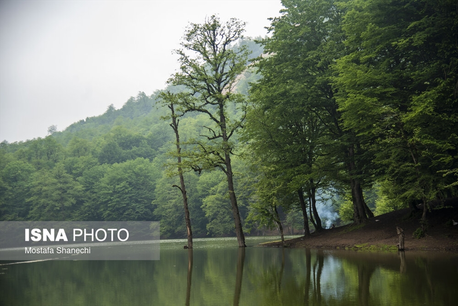 طبیعت بهاری دریاچه میانشه ساری - استان مازندران