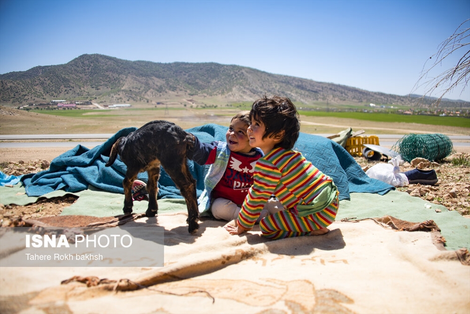 خانواده عشایری - استان فارس