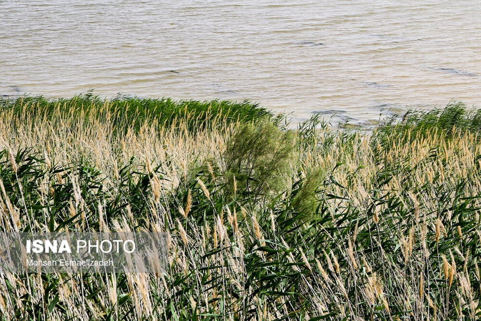 دریاچه بزنگان - استان خراسان رضوی