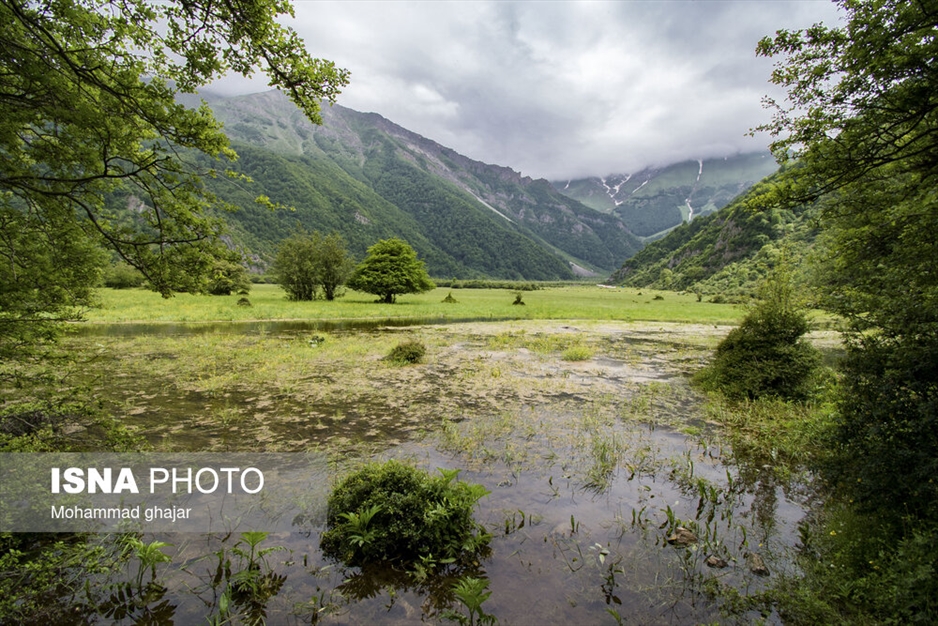 دشت دریاسر در تنکابن - استان مازندران