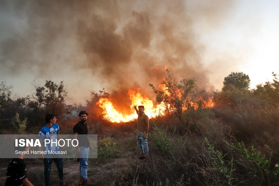 آتش سوزی پارک ملی کرخه در استان خوزستان