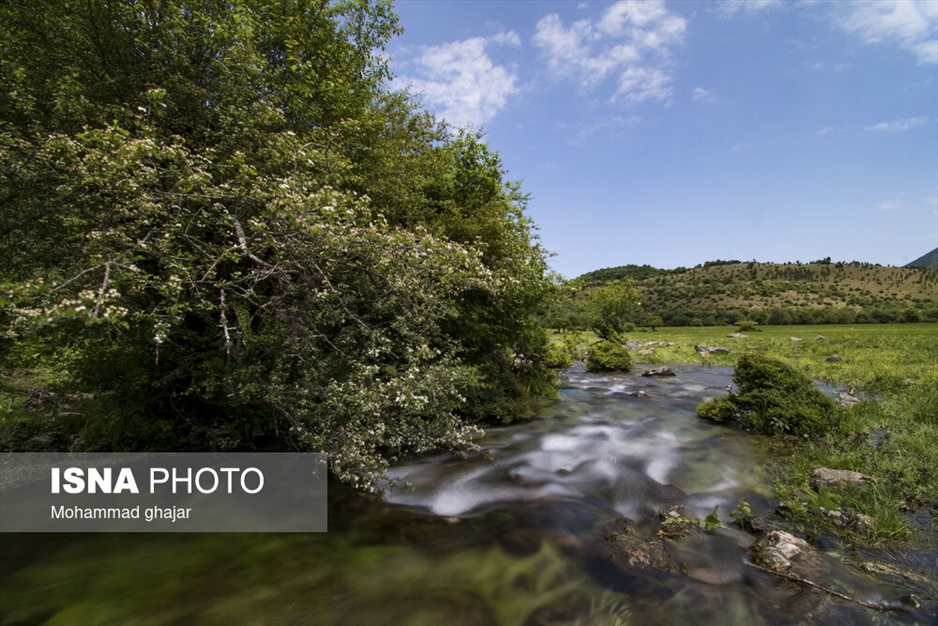 دشت دریاسر در تنکابن - استان مازندران