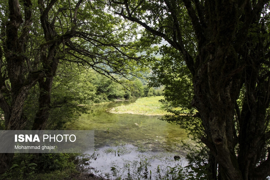 دشت دریاسر در تنکابن - استان مازندران