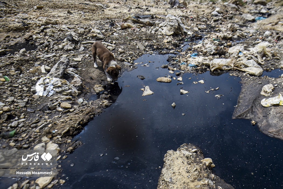 اینجا کوهی از زباله‌ها دارد خاک میخورد!