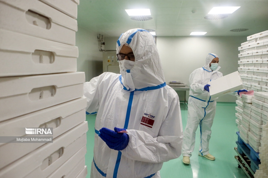 رونمایی از پنج داروی ضد سرطان