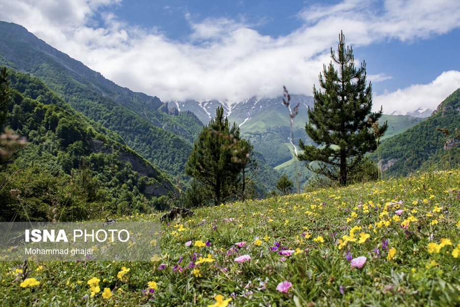 دشت دریاسر در تنکابن - استان مازندران