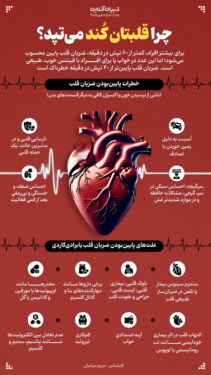 اینفوگرافیک ، پایین‌بودن ضربان قلب ، چرا قلبتان کند می تپد ، ضربان قلب ، 