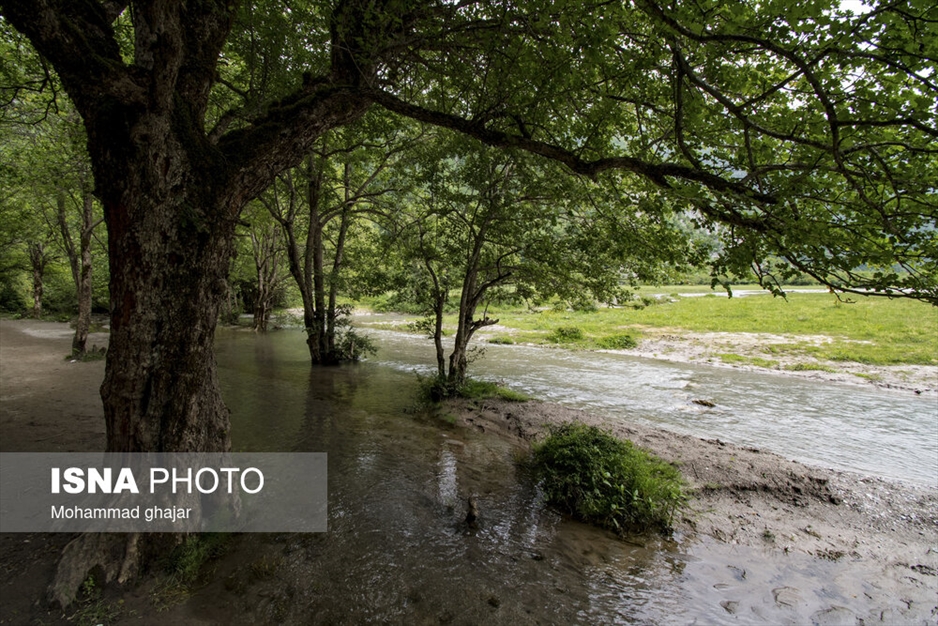 دشت دریاسر در تنکابن - استان مازندران