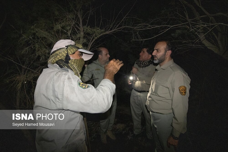 آتش سوزی پارک ملی کرخه در استان خوزستان