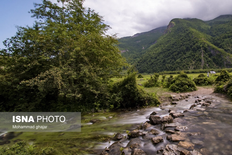 دشت دریاسر در تنکابن - استان مازندران