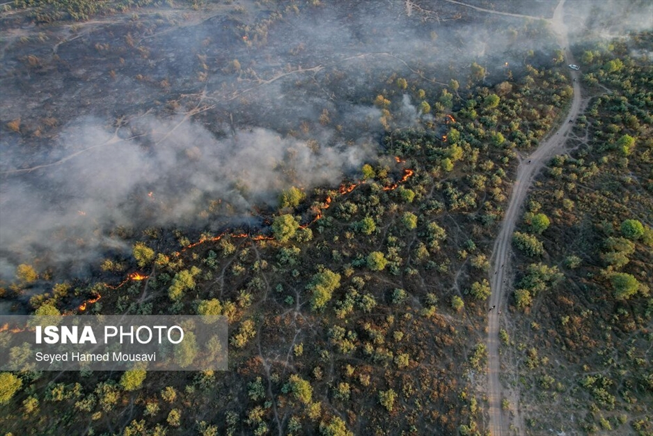 آتش سوزی پارک ملی کرخه در استان خوزستان