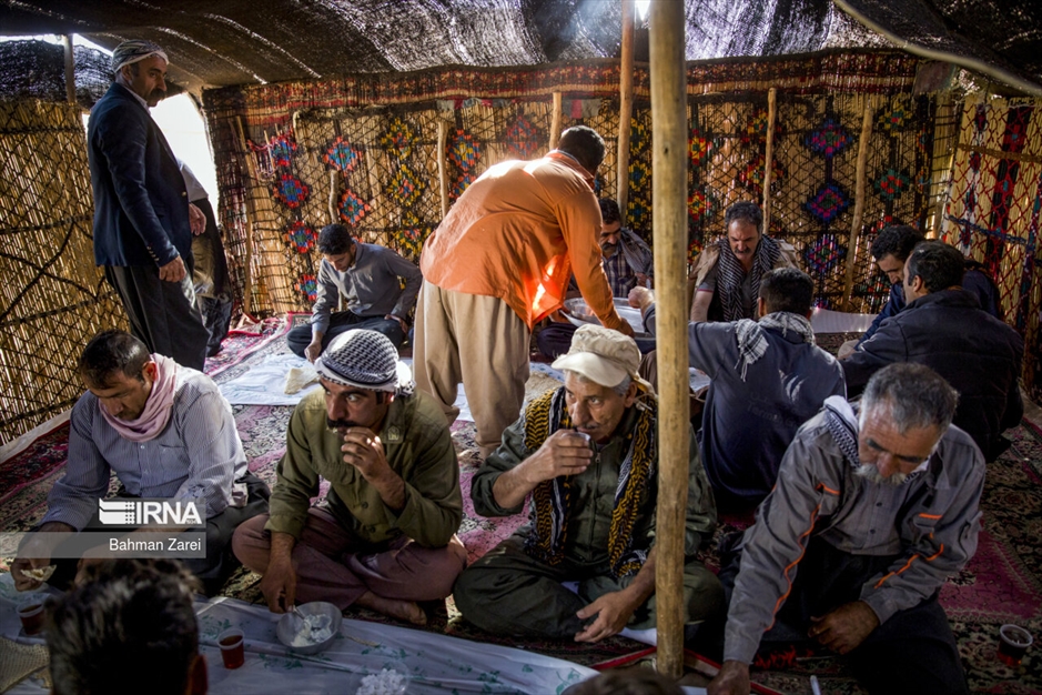 پشم چینی گوسفندان عشایر