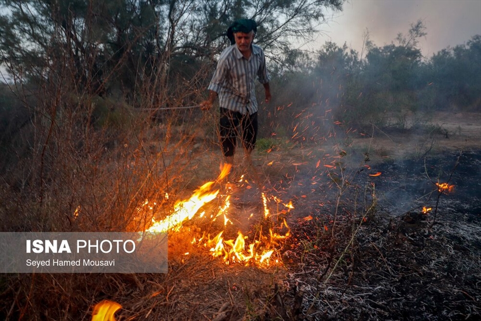 آتش سوزی پارک ملی کرخه در استان خوزستان