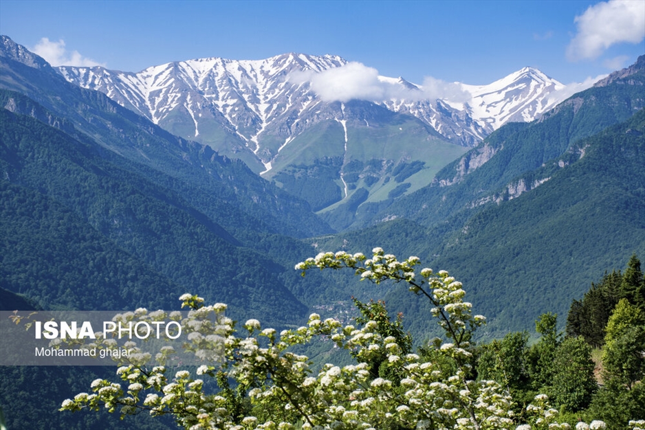 دشت دریاسر در تنکابن - استان مازندران