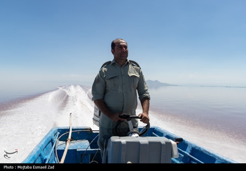 تخم گذاری و جوجه آوری پرندگان در جزایر پارک ملی دریاچه ارومیه