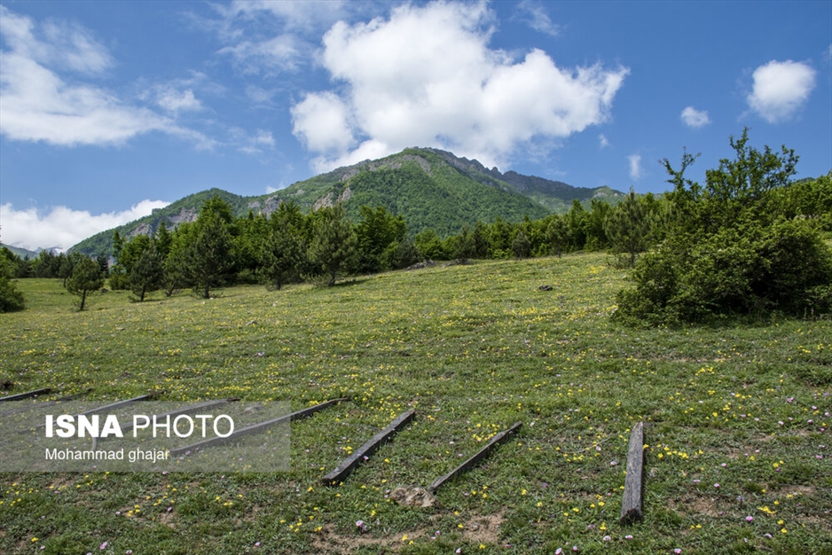 دشت دریاسر در تنکابن - استان مازندران