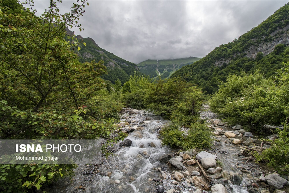 دشت دریاسر در تنکابن - استان مازندران