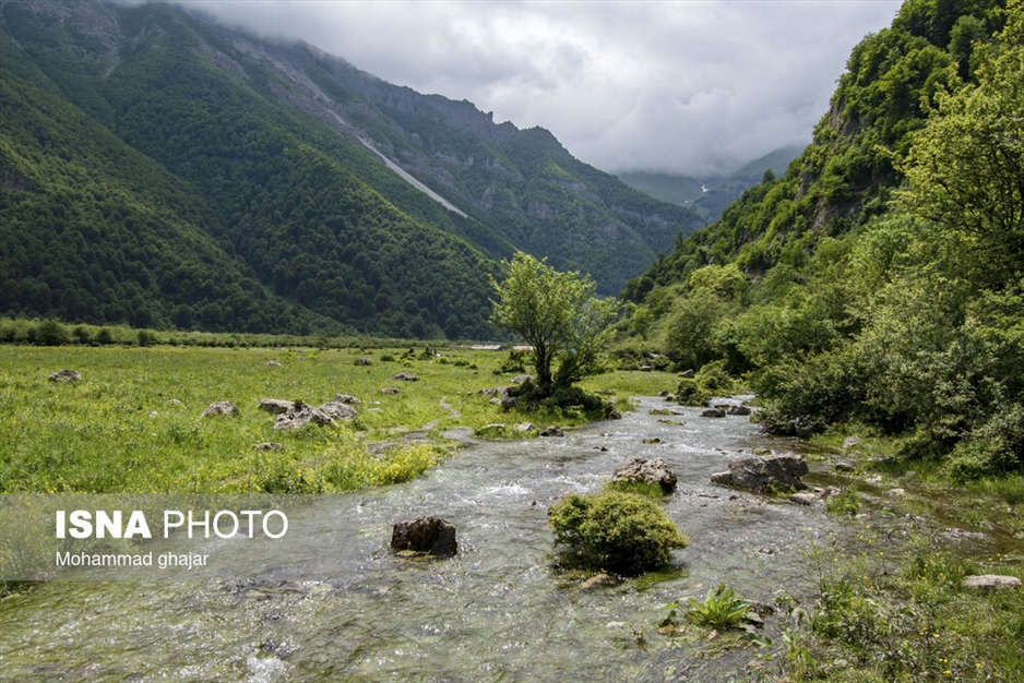 دشت دریاسر در تنکابن - استان مازندران