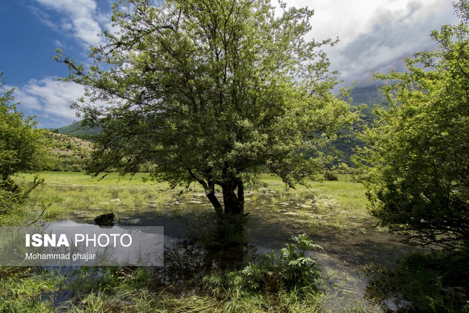 دشت دریاسر در تنکابن - استان مازندران