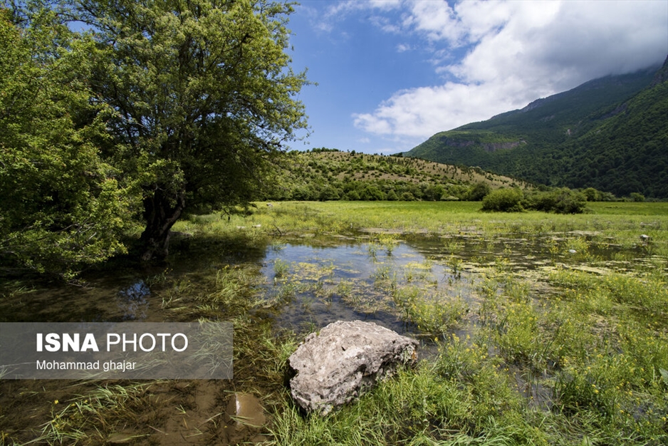 دشت دریاسر در تنکابن - استان مازندران