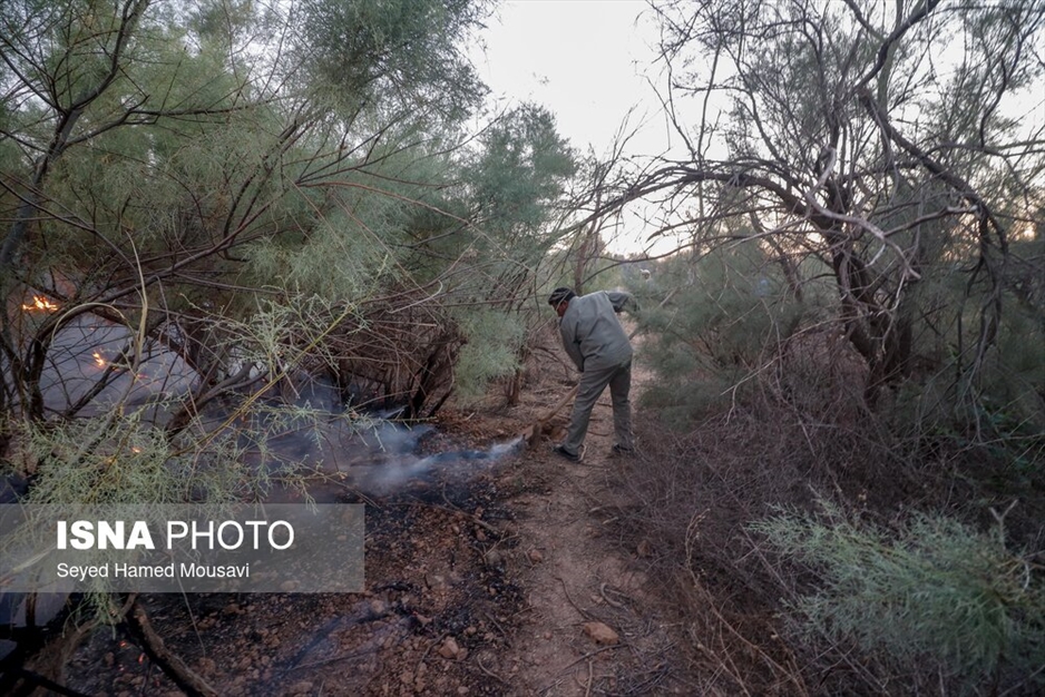 آتش سوزی پارک ملی کرخه در استان خوزستان