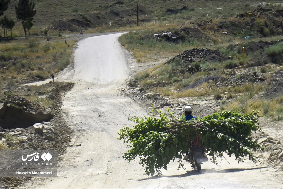 تولید «پیله ابریشم» در خراسان‌شمالی
