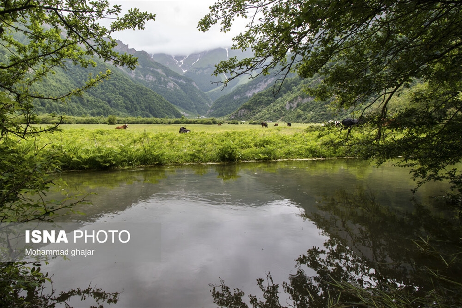 دشت دریاسر در تنکابن - استان مازندران