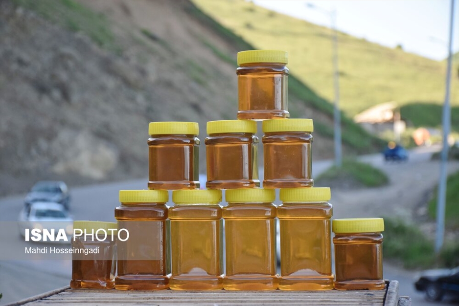 زنبورستان های آستارا