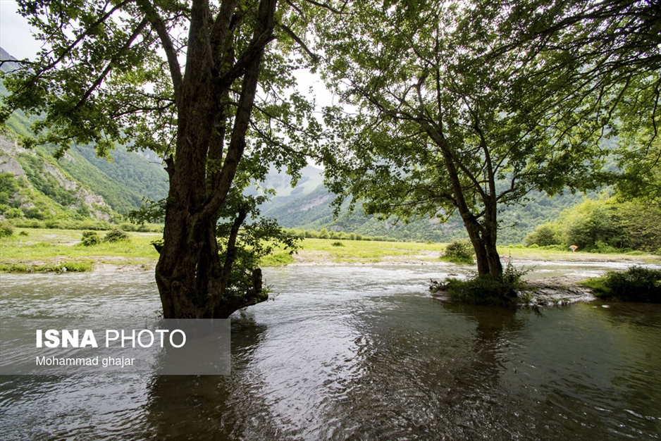 دشت دریاسر در تنکابن - استان مازندران