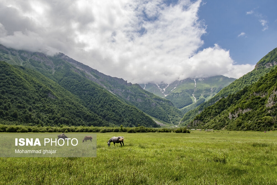 دشت دریاسر در تنکابن - استان مازندران