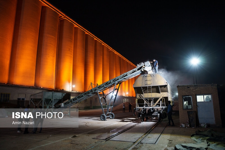 بارگیری گندم در سیلوی اهواز