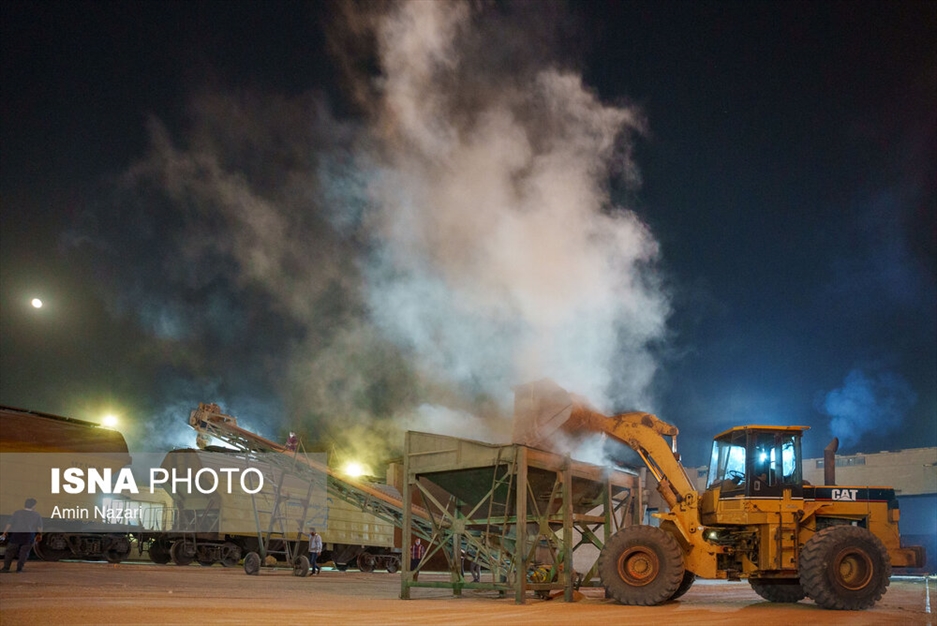 بارگیری گندم در سیلوی اهواز