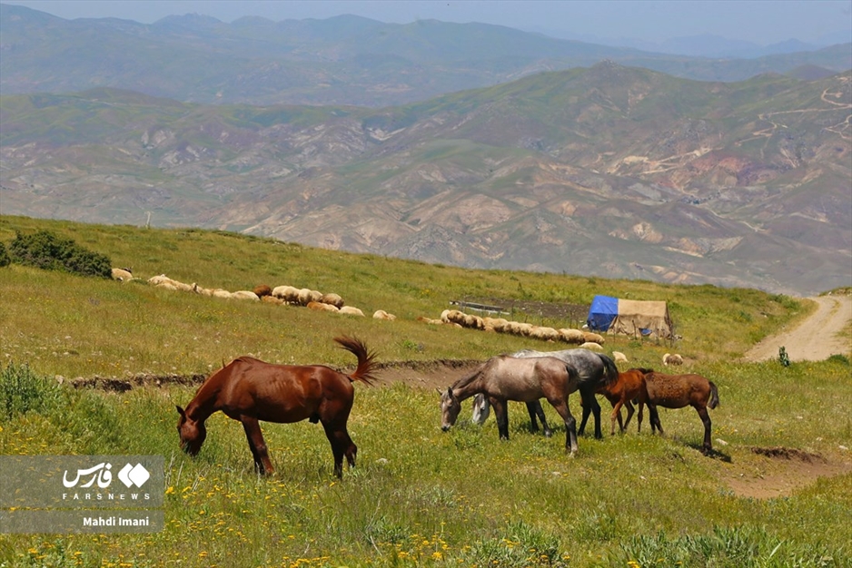 نغمه زیبای کوچ عشایر ایل «قره‌داغ» آذربایجان