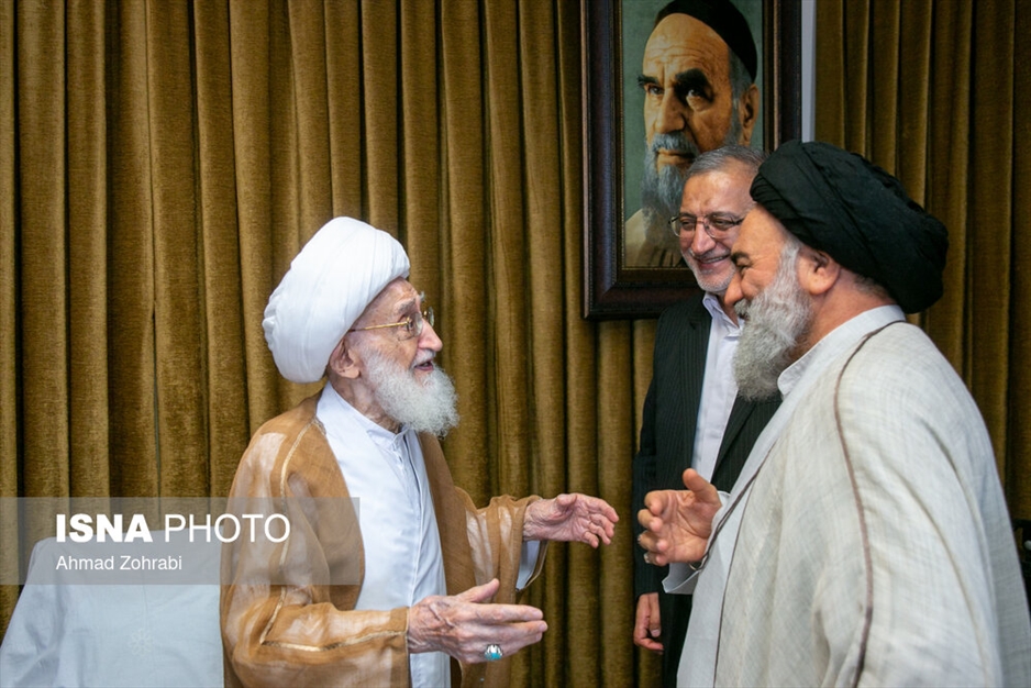 دیدار علیرضا زاکانی با آیت الله نوری همدانی
