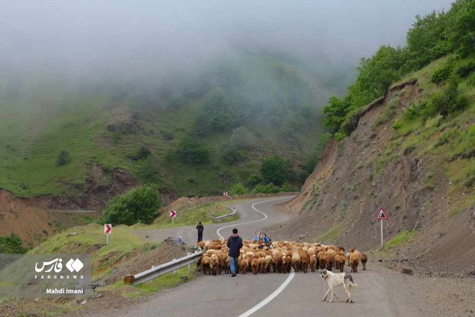 نغمه زیبای کوچ عشایر ایل «قره‌داغ» آذربایجان