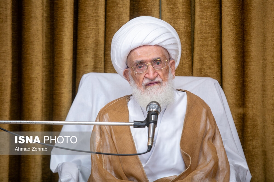 دیدار علیرضا زاکانی با آیت الله نوری همدانی