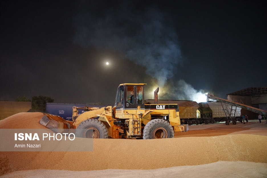 بارگیری گندم در سیلوی اهواز