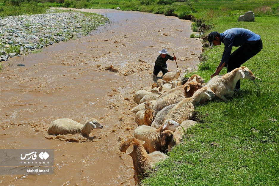 نغمه زیبای کوچ عشایر ایل «قره‌داغ» آذربایجان