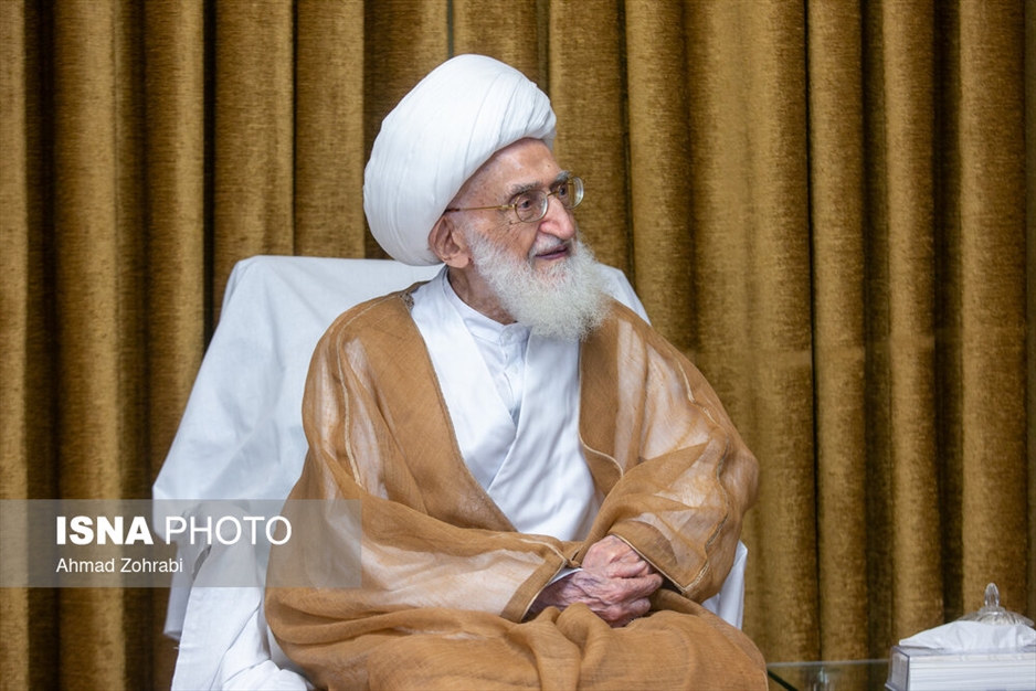 دیدار علیرضا زاکانی با آیت الله نوری همدانی