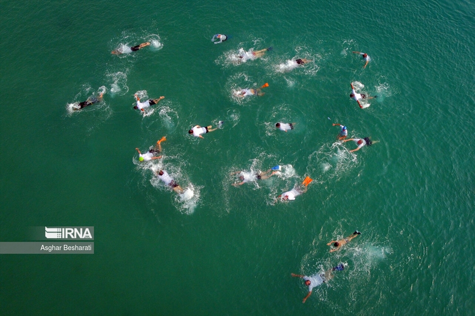 شنای جانبازان در خلیج فارس