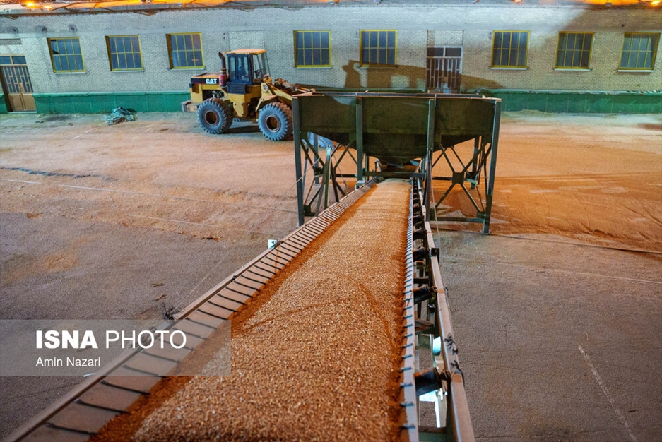 بارگیری گندم در سیلوی اهواز