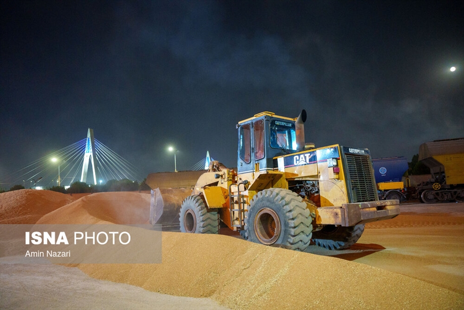 بارگیری گندم در سیلوی اهواز