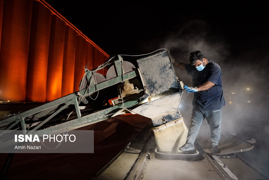 بارگیری گندم در سیلوی اهواز