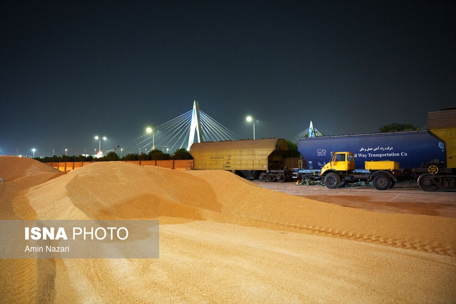 بارگیری گندم در سیلوی اهواز