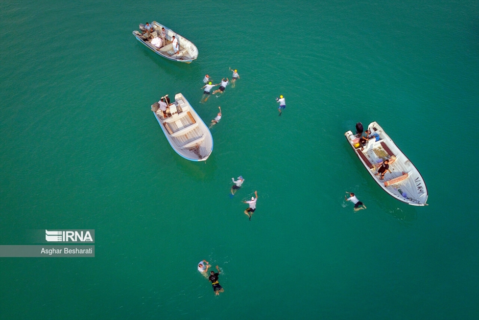 شنای جانبازان در خلیج فارس